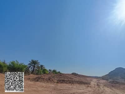 Plot de  à à vendre à Al Manama, Ajman - b0b0f47b-0e5e-459d-9a3a-d46f1f91d122 (1). jpg