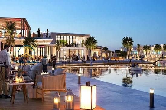 9 damac lagoons 18. jpg