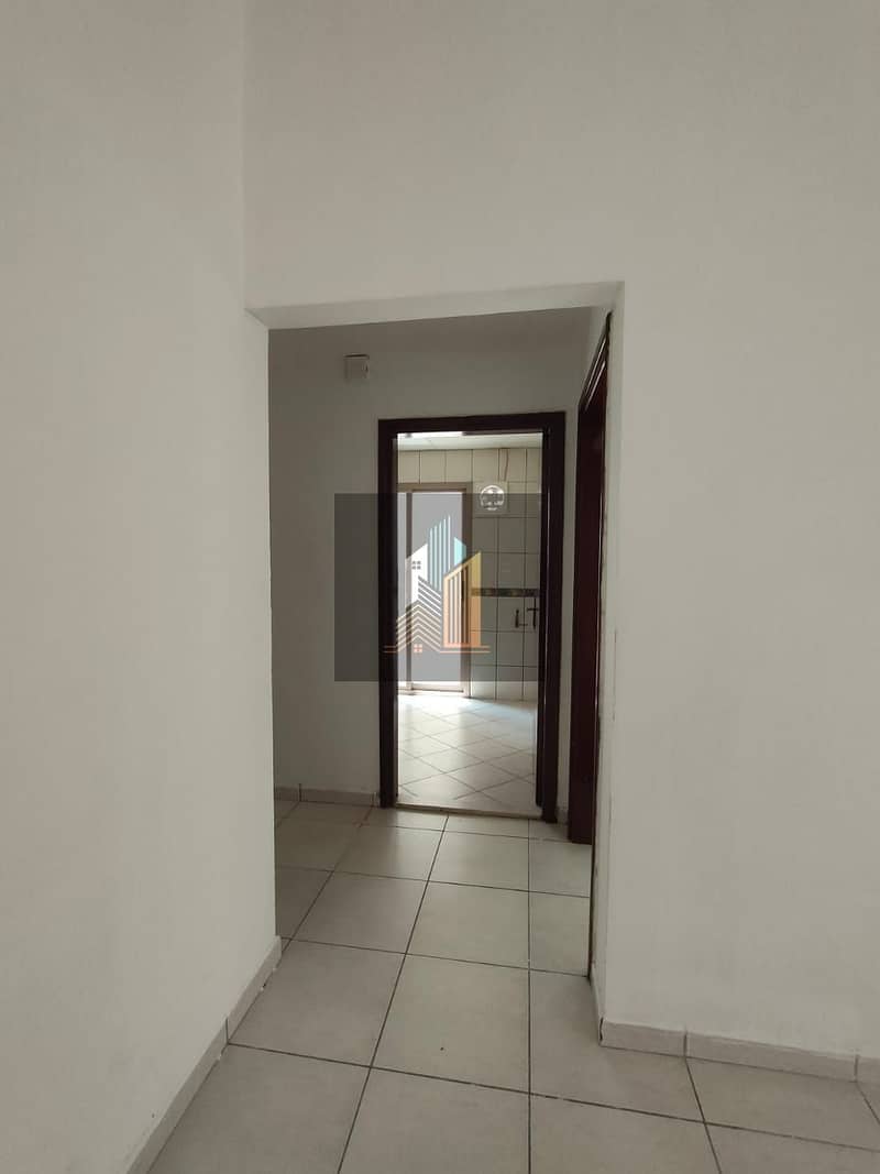 9 5445. jpg
