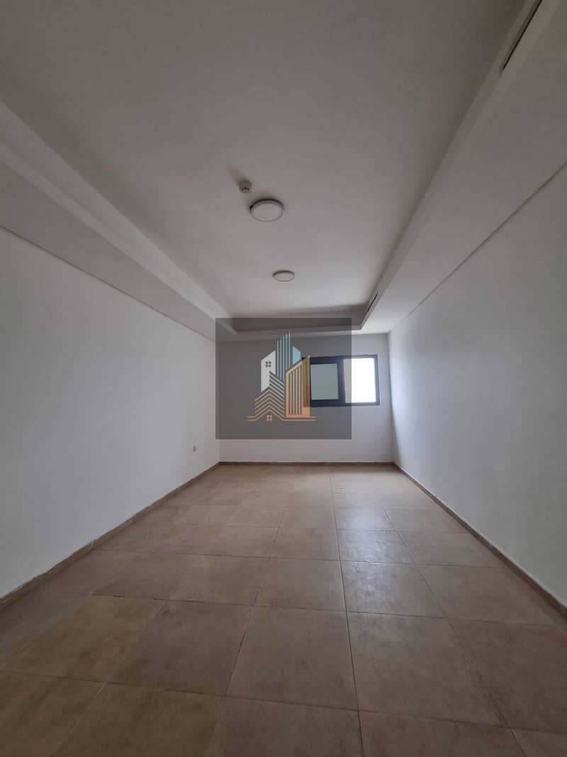 5 13251. jpg