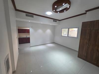 استوديو  للايجار في الراشدية، عجمان - 23f7de34-41e8-4cc5-96a4-66b842d62847. jpg
