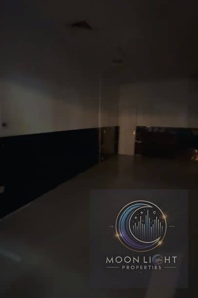 2 P241 (1). png