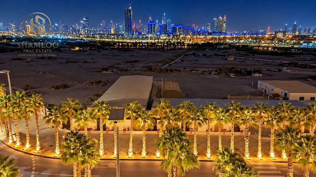 7 Palm-Lit Skyline Over Desert Lot. png