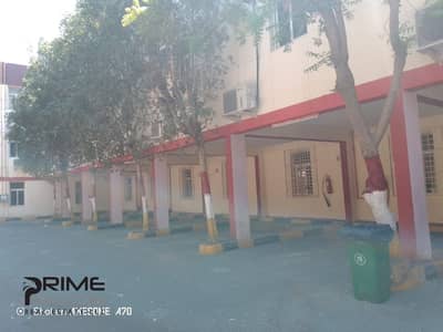 Labour Camp for Rent in Muhaisnah, Dubai - WhatsApp Image 2025-03-19 at 1.20. 41 PM. jpeg Labour Camp for Rent in Muhaisnah, Dubai - WhatsApp Image 2025-03-19 at 1.20. 41 PM. jpeg