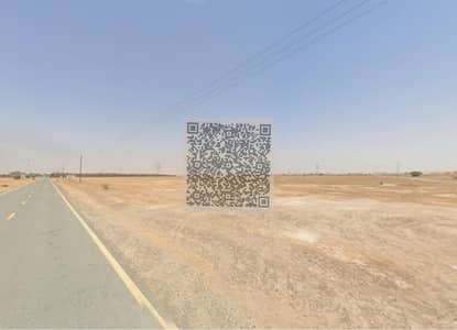 ارض سكنية  للبيع في المنامة، عجمان - WhatsApp Image 2026-10-22 at 2.37. 47 PM_watermarked. jpeg