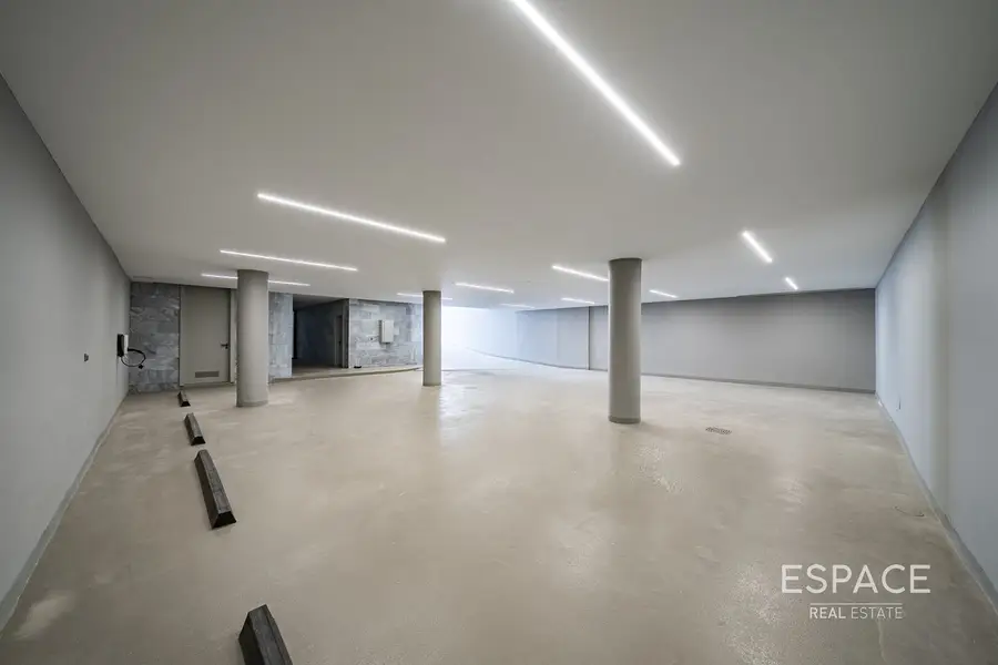Viewable Today | 11,033Sqft Plot | Pool & Basement