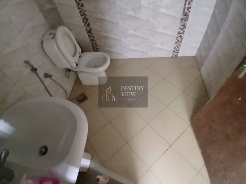 8 130861. jpg