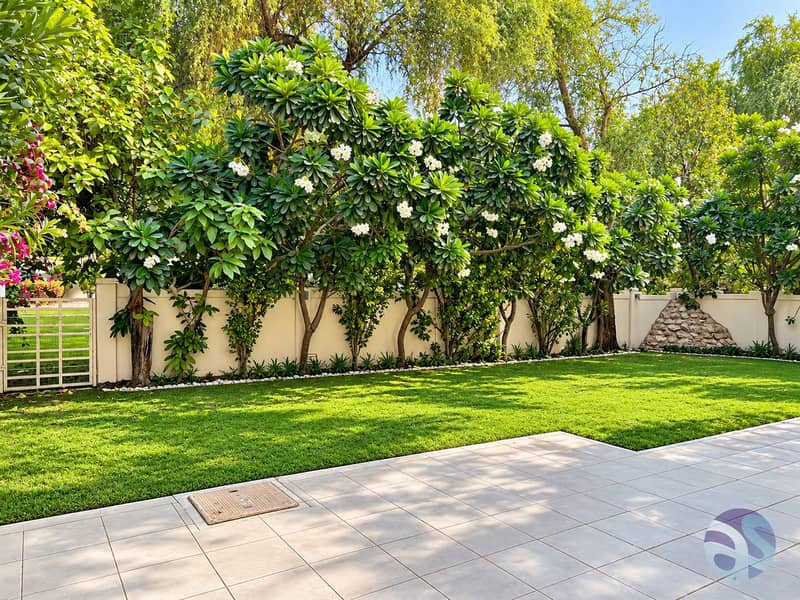 2 Sunny Tropical Backyard Garden. png