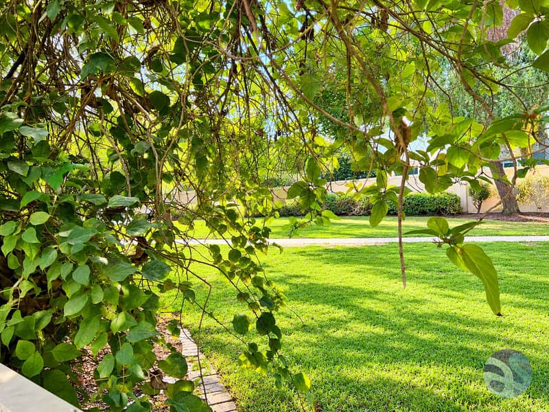 17 Sunlit Garden Framed by Vines. png
