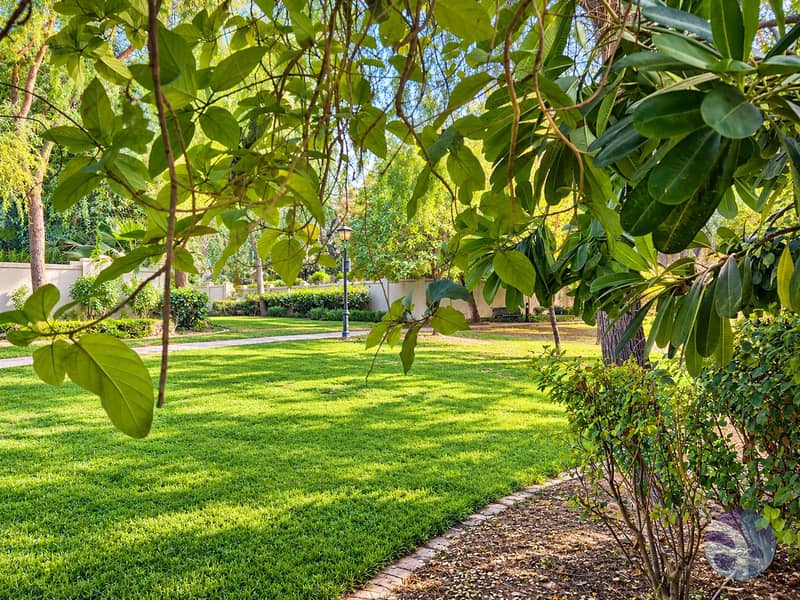 18 Sunlit Garden Framed by Foliage. png