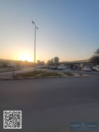 Warehouse in affitto a Al Jurf, Ajman - WhatsApp Image 2026-10-23 at 18.28. 18. jpg