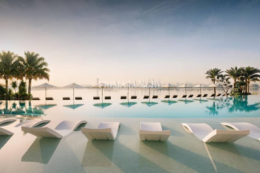 26 
