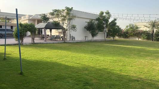 3 Slaapkamers Villa te Koop in Al Qarayen, Sharjah - 504912. jpg 3 Slaapkamers Villa te Koop in Al Qarayen, Sharjah - 504912. jpg