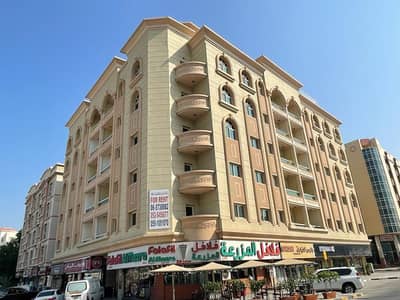 1 Slaapkamer Appartement te Huur in Al Qulayaah, Sharjah - WhatsApp Image 2023-09-15 at 8.55. 42 AM. jpeg