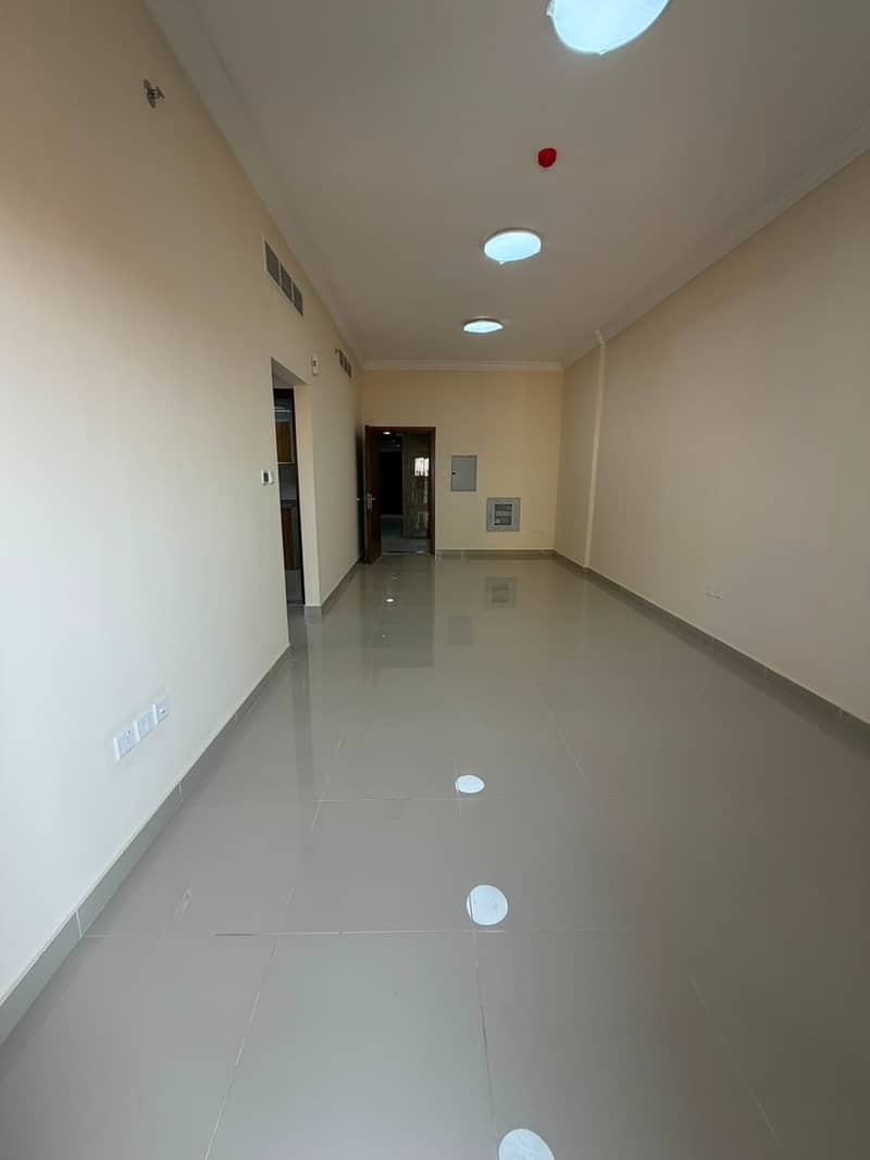 3 WhatsApp Image 2026-10-22 at 3.46. 40 PM. jpeg