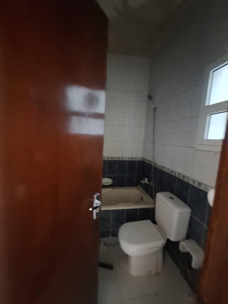 5 453076. jpg
