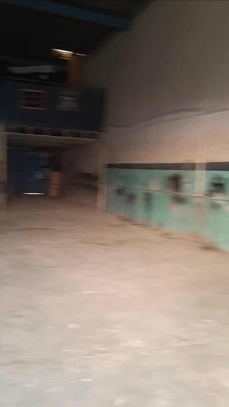 2 453569. jpg