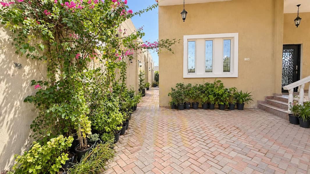 3 Sunlit Courtyard with Bougainvillea. png
