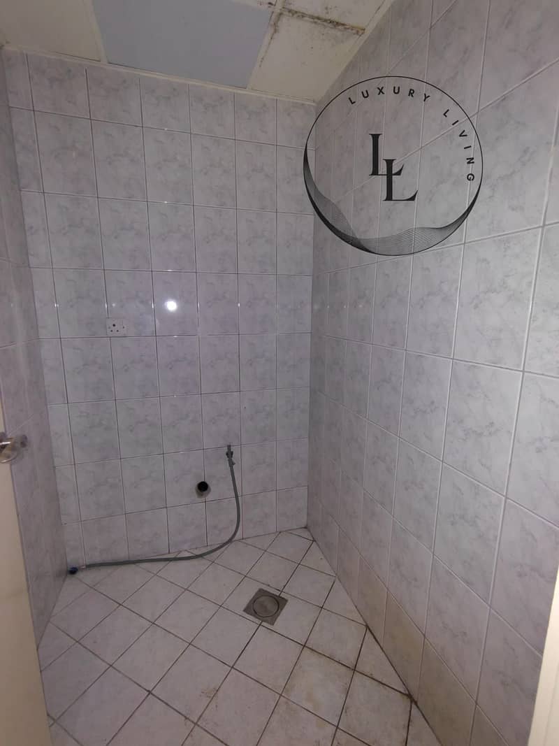 8 186801. jpg