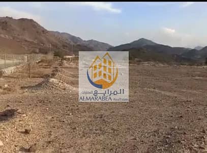 Mixed Use Land para en Venta en Masafi, Ras Al Khaimah - IMG_9195. jpeg Mixed Use Land para en Venta en Masafi, Ras Al Khaimah - IMG_9195. jpeg