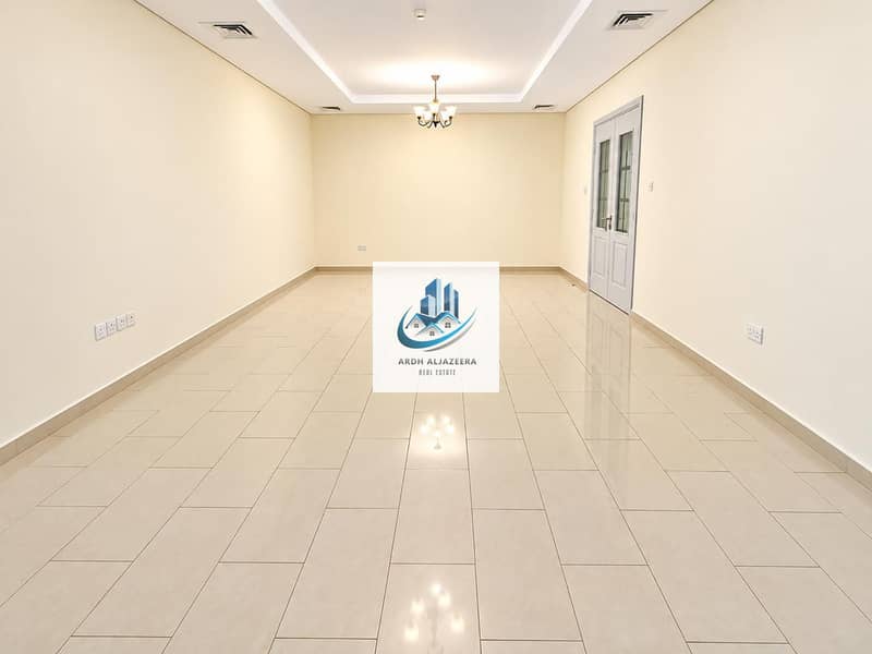 8 157243. jpg