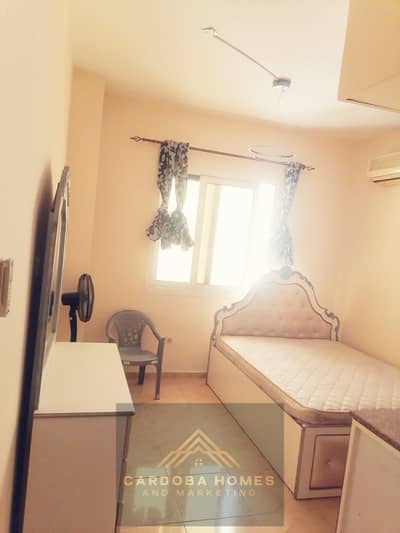 1 Schlafzimmer Wohnung zum Miete in Al Qulayaah, Sharjah - IMG-20251220-WA0007. jpg