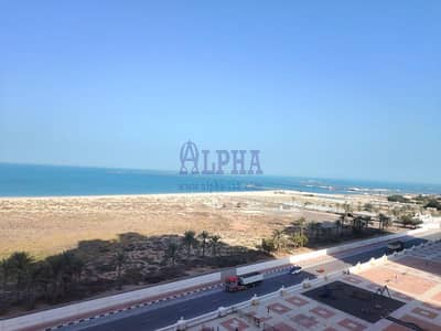 استوديو  للبيع في قرية الحمراء، رأس الخيمة - شقة في رويال بريز4،رويال بريز،قرية الحمراء 525000 درهم - 16972771