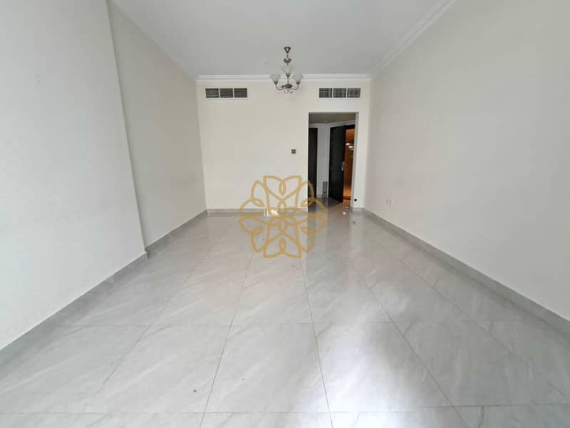 3 164134. jpg