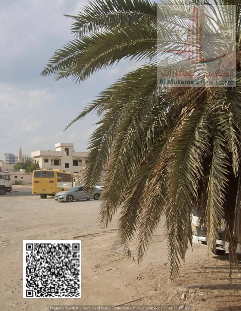 5 WhatsApp Image 2026-10-25 at 9.31. 07 PM (2). jpeg