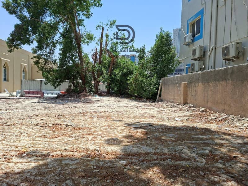 8 WhatsApp Image 2026-10-26 at 8.44. 36 AM (4). jpeg