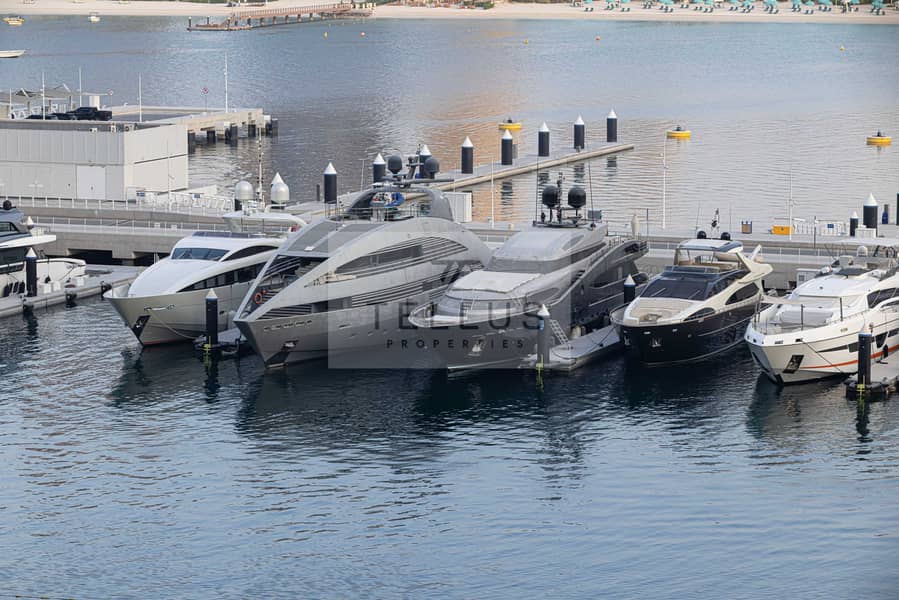 27 0G1A6509. jpg