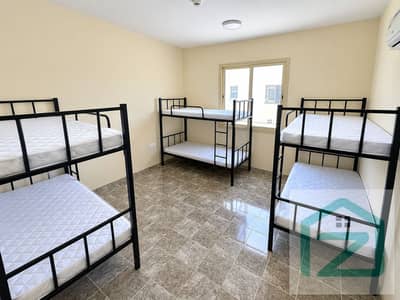 阿尔艾因工业区， 阿尔艾因 员工宿舍待租 - Clean Bunk Bed Hostel Room. png