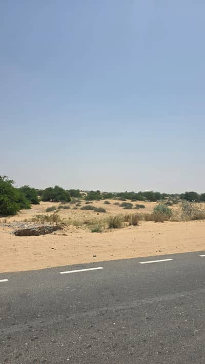 ارض تجارية  للبيع في المالحة، الشارقة - WhatsApp Image 2026-10-19 at 11.40. 21 AM (3). jpeg