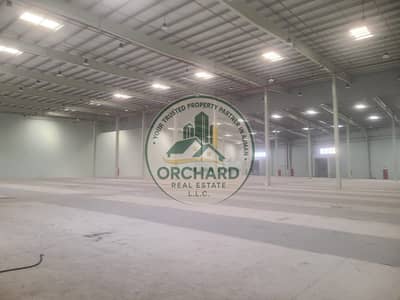 Warehouse para en Alquiler en Umm Al Thuoob, Umm Al Quwain - IMG-20261026-WA0108. jpg