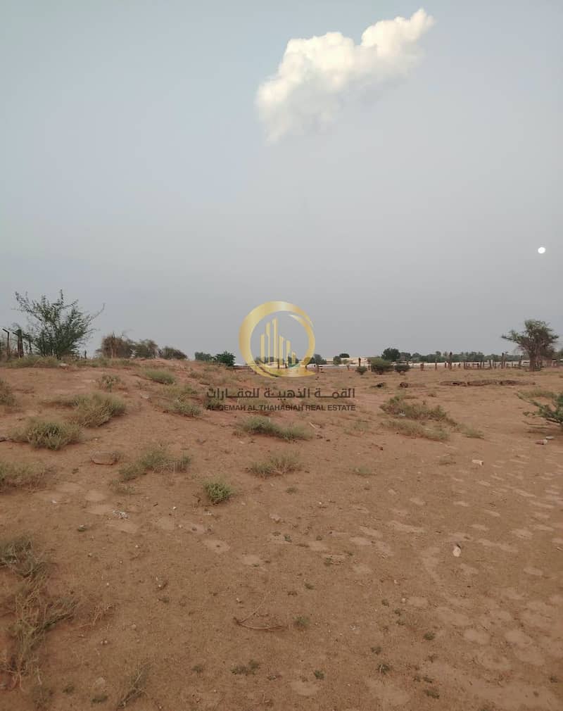 7 WhatsApp Image 2026-10-26 at 10.16. 42. jpeg