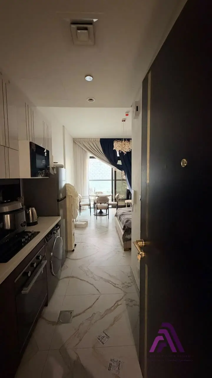 Fully Furnished Studio | Balcony | Petalz by Danube 2