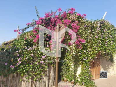10+ Camere Villa in vendita a Liwara 1, Ajman - WhatsApp Image 2026-10-26 at 6.57. 25 PM (2). jpeg 10+ Camere Villa in vendita a Liwara 1, Ajman - WhatsApp Image 2026-10-26 at 6.57. 25 PM (2). jpeg