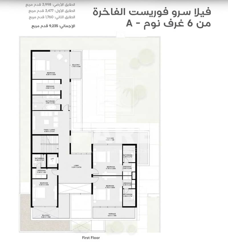 5 3a83d778-3fb3-4c37-b8ff-dde1a207adbb. jpg