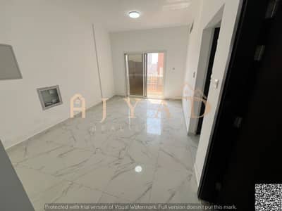 فلیٹ 2 غرفة نوم للايجار في العالية، عجمان - 0d987936-782d-4a9b-a166-0ccaf116b3ec. jpg
