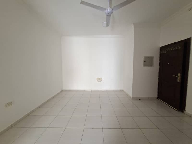 8 49154. jpg