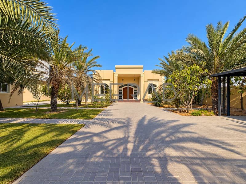 Sunlit Palm-Framed Villa Entrance. png Sunlit Palm-Framed Villa Entrance. png