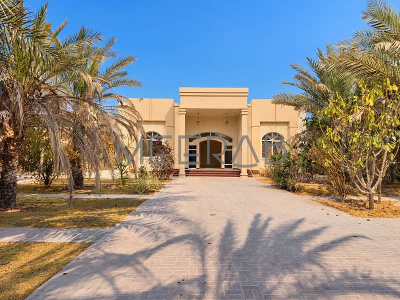 12 Sunny Palm-Lined Villa Entrance. png