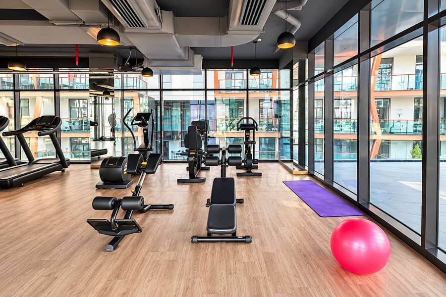 16 Modern Sunlit Gym Interior. png