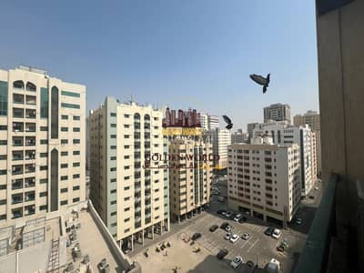 2 Slaapkamers Appartement te Huur in Al Qasimia, Sharjah - WhatsApp Image 2026-10-27 at 11.17. 12 (2). jpeg