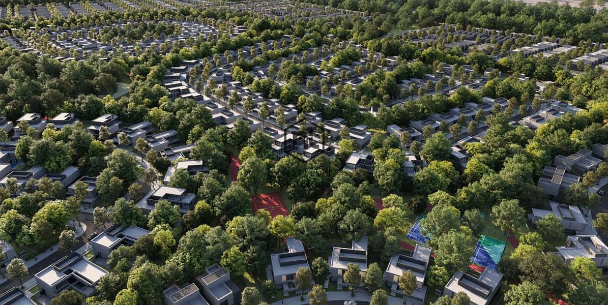 7 Birds Eye Trees View. png