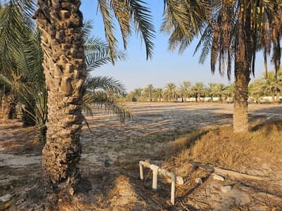 Mixed Use Land in vendita a Muwaylih, Abu Dhabi - Image 1