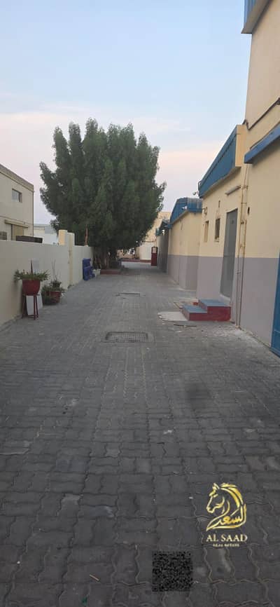 Labour Camp for Rent in Al Jurf, Ajman - WhatsApp Image 2026-10-27 at 20.08. 48 (1). jpeg