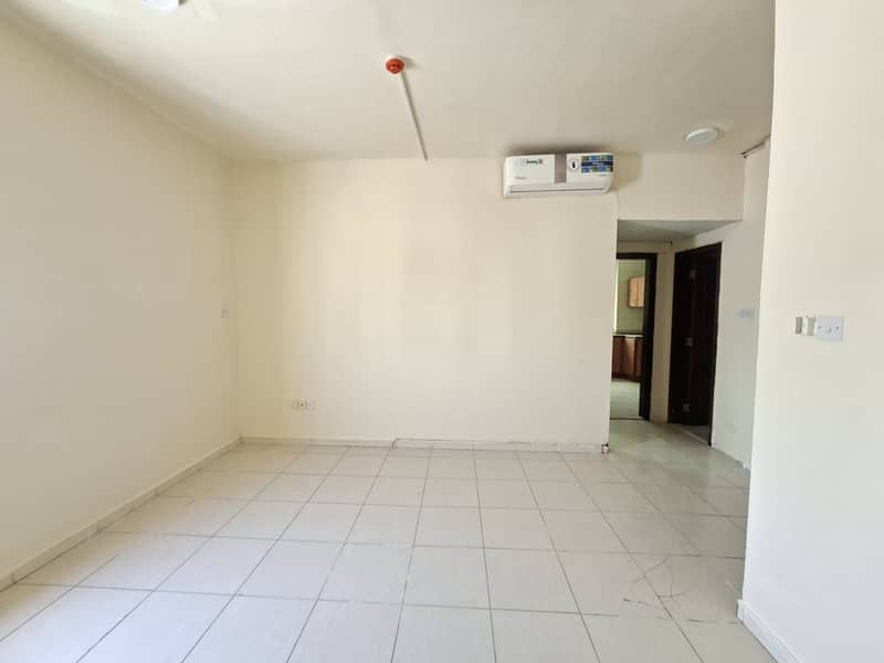 6 19584. jpg