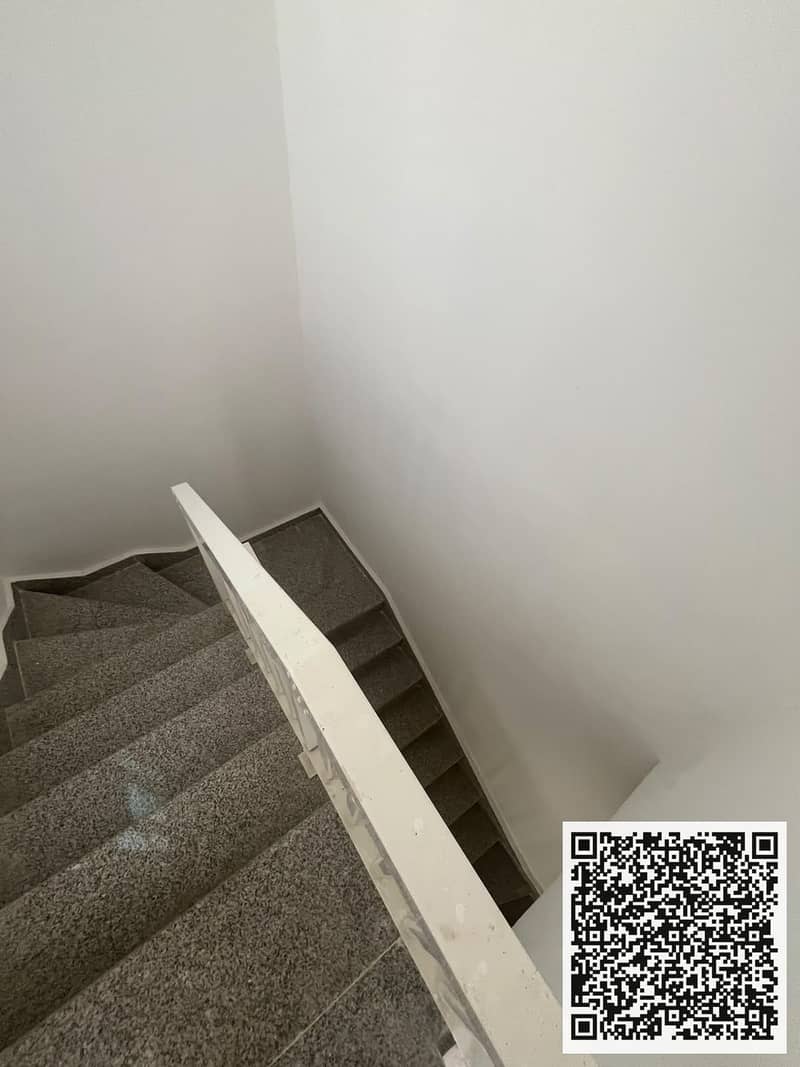 7 1001567055. jpg