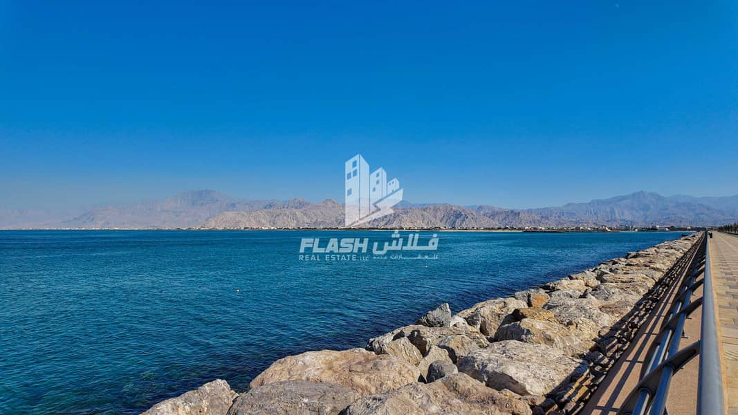 DJI_20250105125349_0019_D 1. jpg DJI_20250105125349_0019_D 1. jpg